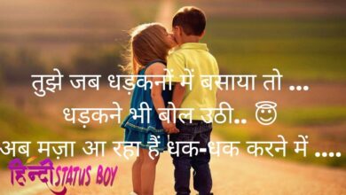 Love Status For Girlfriend in Hindi